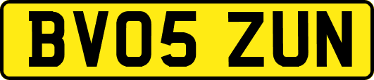 BV05ZUN