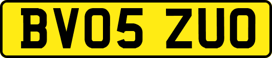 BV05ZUO