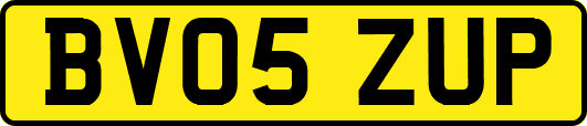 BV05ZUP