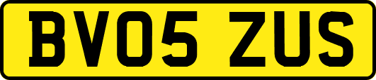 BV05ZUS