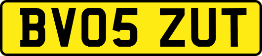 BV05ZUT
