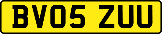 BV05ZUU