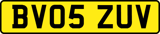 BV05ZUV
