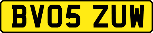 BV05ZUW