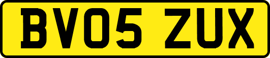 BV05ZUX