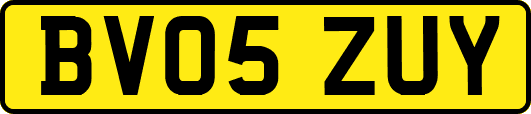 BV05ZUY