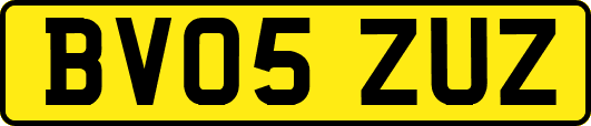 BV05ZUZ