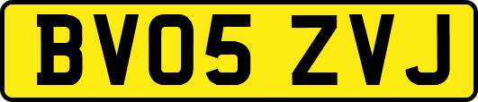 BV05ZVJ