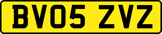 BV05ZVZ