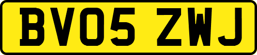 BV05ZWJ
