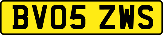 BV05ZWS