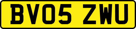 BV05ZWU