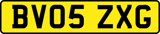 BV05ZXG