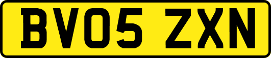 BV05ZXN