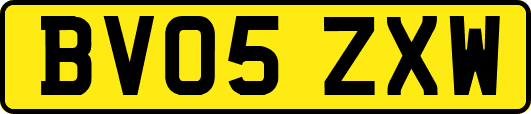 BV05ZXW