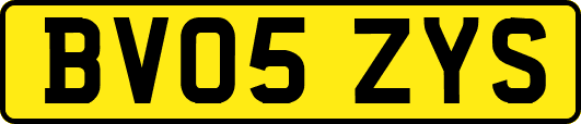BV05ZYS