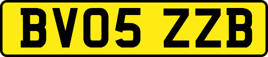 BV05ZZB