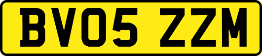 BV05ZZM