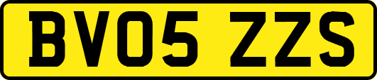 BV05ZZS
