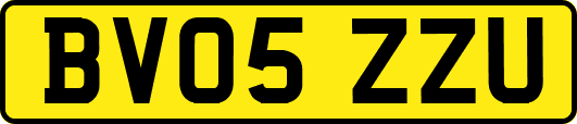 BV05ZZU