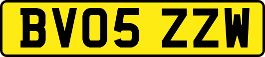BV05ZZW
