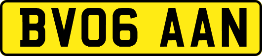 BV06AAN