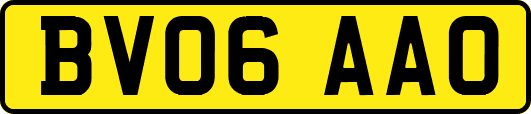 BV06AAO