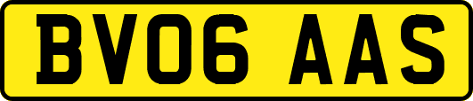 BV06AAS