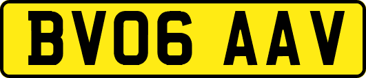 BV06AAV