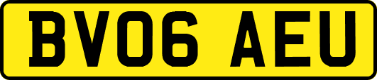 BV06AEU