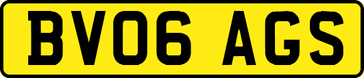 BV06AGS