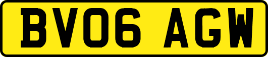BV06AGW