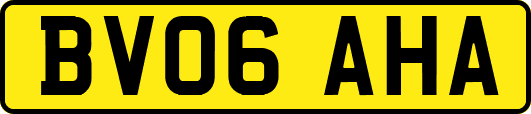 BV06AHA