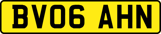 BV06AHN