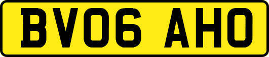 BV06AHO
