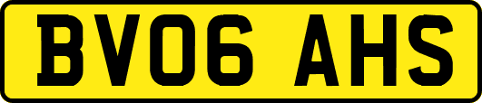 BV06AHS