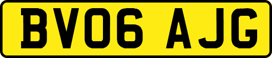 BV06AJG