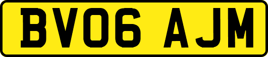 BV06AJM