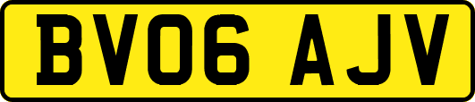 BV06AJV