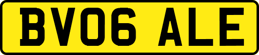 BV06ALE