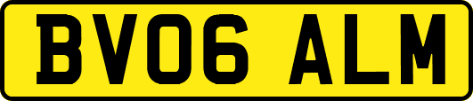 BV06ALM