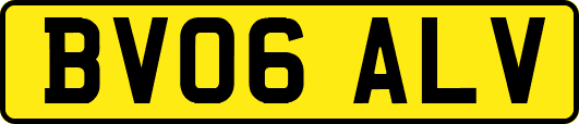 BV06ALV