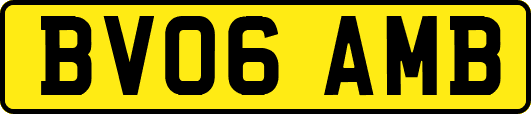 BV06AMB