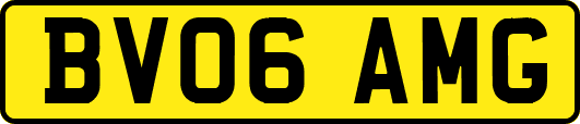 BV06AMG