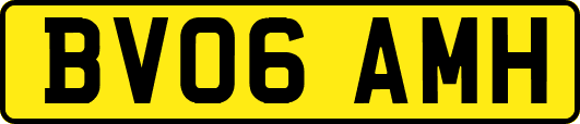 BV06AMH