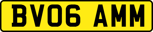 BV06AMM