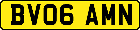 BV06AMN