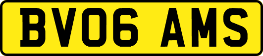 BV06AMS