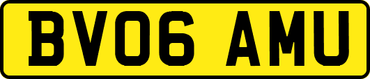 BV06AMU