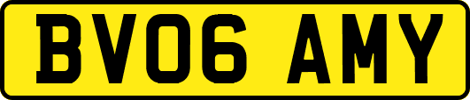 BV06AMY